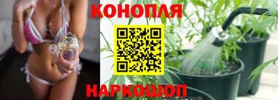 ешки Новодвинск