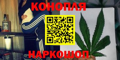 ешки Новодвинск
