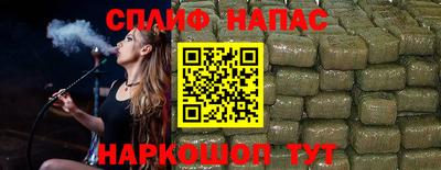 ешки Новодвинск