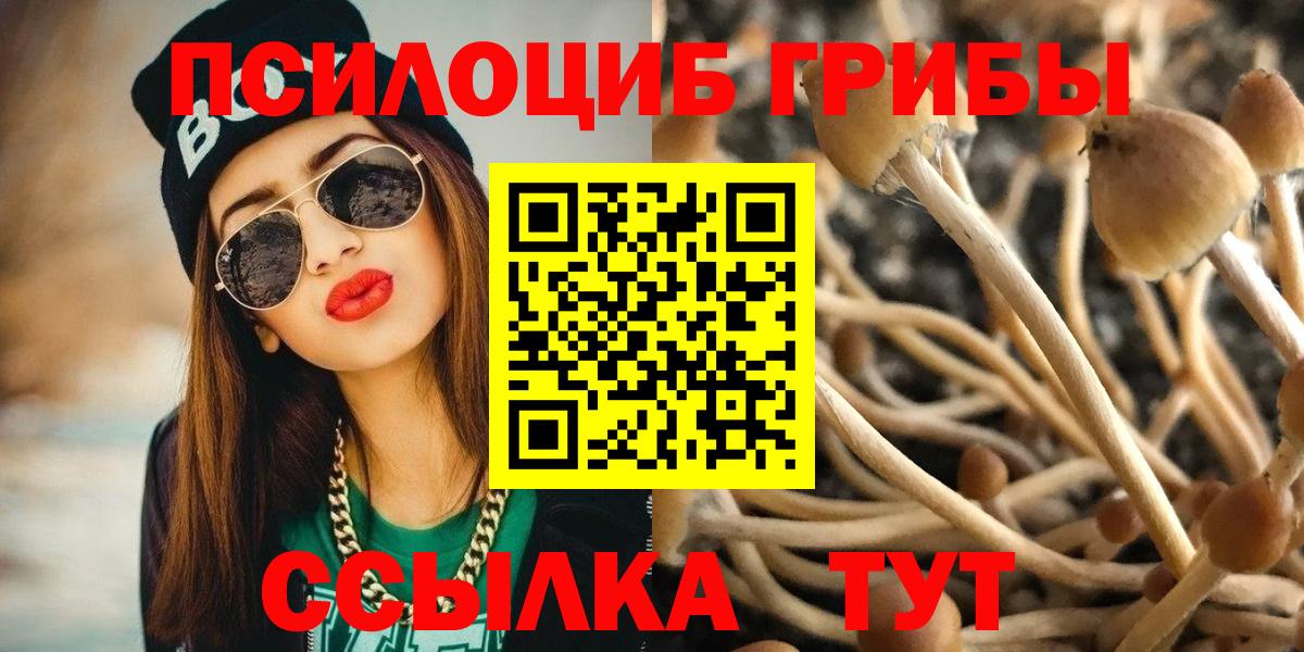 Рязань  Псилоцибиновые грибы MAGIC MUSHROOMS  Вход с VPN  Псилоцибиновые грибы Psilocybe 