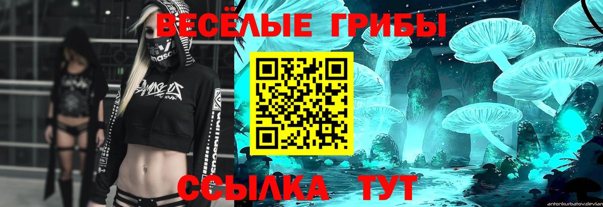 Галлюциногенные грибы ЛСД Рязань